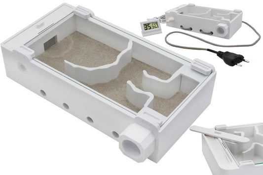 Ameisenfarm R1T mit Sand
