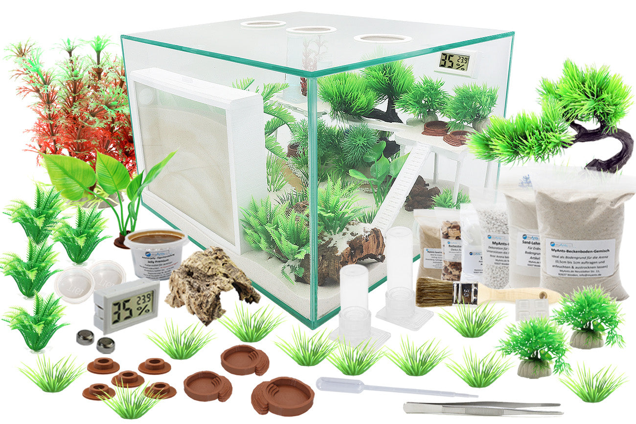 Ameisenfarm SKL für Innen- & Außenbereich + Gänge Torfbeschichtet