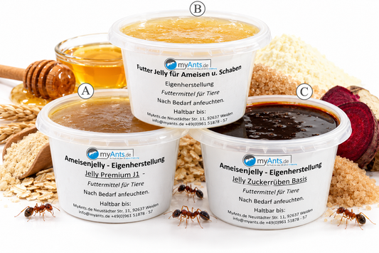 Ameisen Jelly - Ameisenfutter