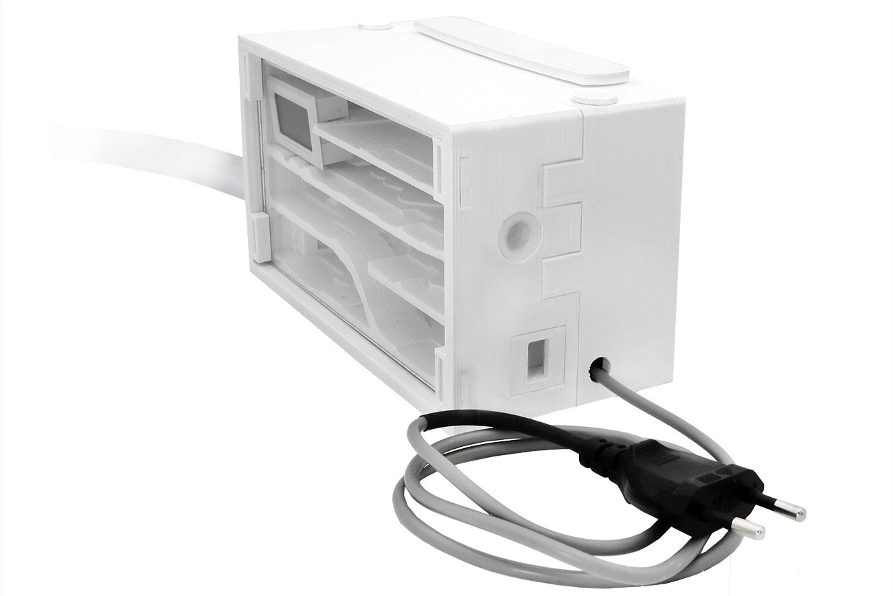 Ameisenkomplettset XL-S Ameisenfarm H1 & Ameisen nach Wahl